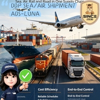 Expédition fiable DDP DDU par avion et express Chine-Algérie – Transitaire logistique – Livraison en 1-2 jours – Marchandises dangereuses et générales