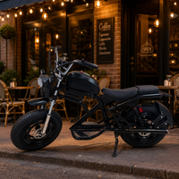 Moto électrique rétro à pneus larges avec plateforme de plancher pour un trajet urbain confortable – Approvisionnement en gros
