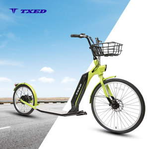 Scooter Eléctrico El Land Glider II en Oferta, con Batería de Litio de 36V 10.4Ah, Motor de 250W, Ruedas de 26/20 Pulgadas y Marco de 1.75, Ideal para Desplazamientos - Product Image 1