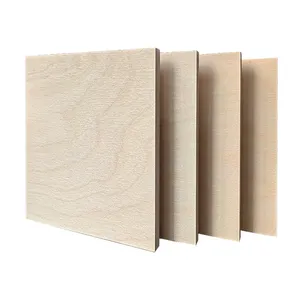 Contrachapado de <span class=keywords><strong>Abedul</strong></span> Marino de 4-40 mm, Grado Mueble, Importado, Multicapa, Impermeable, para Armarios y Gabinetes - Product Image 3