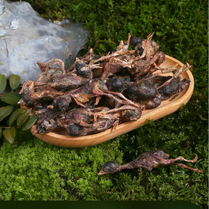 Oem odm מפעל מחיר הסיטונאי חיות מחמד הקפאה-מיובש פינוקים פריכים - Product Image 3