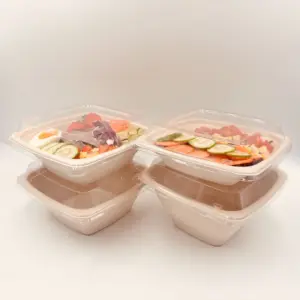 Canne à sucre Bagasse Plats à emporter Pâte Conteneur Alimentaire Compostable Jetable Microwavable Biodégradable Boîte