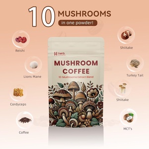Café de hongos natural de marca privada OEM/ODM con Ashwagandha y Melena de León, suplemento energético para mejorar la inmunidad - Product Image 2