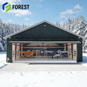 Hangar de Acero Industrial de Bajo Costo y Alta Confiabilidad, Aislado para Logística Aeronáutica, Precio Competitivo - Product Image 1