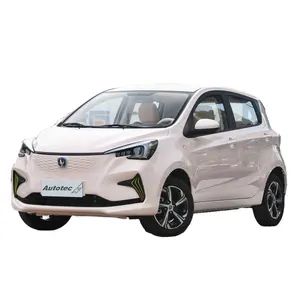 2023 Snelle Levering Auto Roze Editie Changan Chana Benben Beni Nieuwe Energie Voertuig E Star E-Star Seater7 Range 310Km Lage Prijs