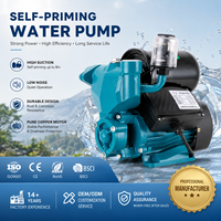 Pompe centrifuge à jet auto-amorçante intelligente WZB, hauteur de refoulement 50m, en fonte et acier inoxydable, pompe de surpression d'eau certifiée CE, OEM
