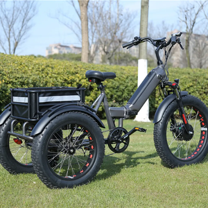 Nouveau modèle de <span class=keywords><strong>vélo</strong></span> <span class=keywords><strong>cargo</strong></span> <span class=keywords><strong>électrique</strong></span> puissant, fonctionnement d'<span class=keywords><strong>assistance</strong></span> à la pédale, gros <span class=keywords><strong>vélo</strong></span> <span class=keywords><strong>électrique</strong></span> chargé pour la livraison - Product Image 2