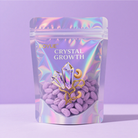 Sachet Doypack Transparent avec Fermeture Ziplock et Dos en Feuille d'Argent, Réutilisable pour le Stockage Alimentaire (Boulangerie, Biscuits, Pain)