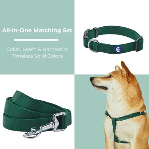 Ensemble pour chien Blueberry Pet Essentials, vert vif, collier et harnais en nylon classique à couleur unie, réglable et à libération rapide, 5 pieds - Product Image 3