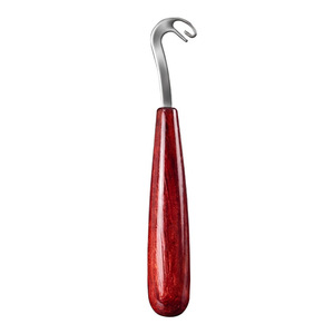Rosewood <b>Thread</b> Knotter Stainless Steel Double Needle Hook Fishing Accessory Knotting <b>Tool</b> - Product Image 1