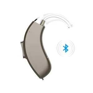 OEM Acceptable Popular Products 2024 Natural Sound Quality Bluetooth-enabled Hearing Aids Just Released Wholesales