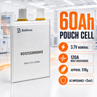Batterie solide Battivus 60Ah 3.87V, décharge 2C, 516g, seulement 450Wh/kg, pour drone de cartographie VTOL à longue autonomie et charge lourde