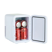 Kulkas Mobil 5L Bahan ABS Multi-Voltase, Unit Pendingin-Pemanas Mini Portabel Kelas Kecantikan, 48W, Untuk Rumah
