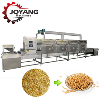 Séchoir industriel personnalisé entièrement automatique à micro-ondes continu pour vers de farine, insectes, larves de BSF et larves de mouches