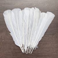 Plumes de dinde naturelles blanches Yolan en gros, 8-10 pouces, en vrac pour accessoires de vêtements décoratifs de festival, MOQ 50 pièces
