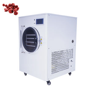 <b>Small</b> Freeze Dryer/ Freeze Dryer for Liquids/lyophilizer Freeze Dryer - Product Image 5