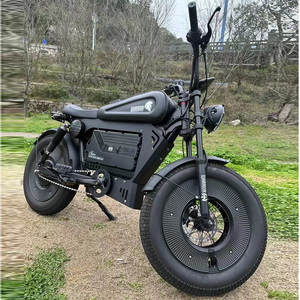 Vélo Électrique 20"x5.0 Pneus Larges, Vélo Tout-Terrain Électrique 1500W 48V, Fatbike Walfih ET-7, Modèle Black Warriors - Product Image 2