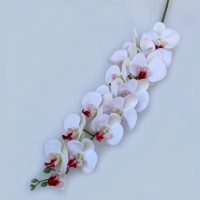 Bunga Anggrek Phalaenopsis Buatan Berkualitas Tinggi 15 Kuntum Tangkai Tunggal Model Kupu-kupu untuk Pernikahan Natal Wisuda