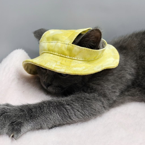 Spring Summer New Pet Dog <b>Cat</b> Outdoor Windproof Walking Small Fisherman Sun <b>Hat</b> Cute Corgi <b>Hat</b> Accessory - Product Image 5