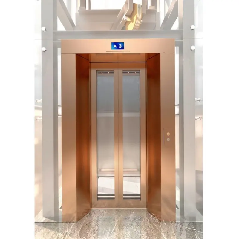 Yüksek kalite 2 kat konut asansörler küçük ev kaldıracı 3 kat ev villa asansör yolcu asansörler