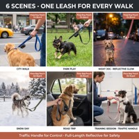 Laisse pour chien rembourrée à double poignée avec porte-sac à déjections, laisse en nylon réfléchissante robuste pour chiens de taille moyenne à grande, logo personnalisé