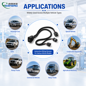 Harnais de câblage personnalisé en usine pour l'automobile, le marine, les chariots de golf, les excavateurs, les motos, les VTT/UTV - Product Image 2