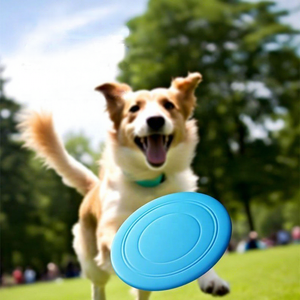 Hot-selling Practical multi-color optional silicone <b>pet</b> <b>interactive</b> bite <b>toy</b> dog sports Silicone training <b>interactive</b> dog <b>toy</b> - Product Image 2