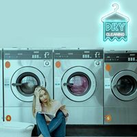 Enseigne néon LED murale Neonawall pour nettoyage à sec, décor mural USB à intensité variable pour buanderie, cadeau pour les amateurs de blanchisserie