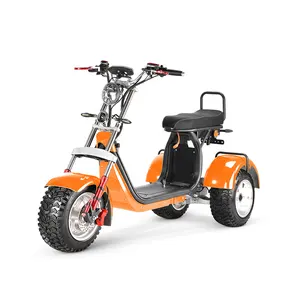 전문 제조 업체 패션 디자인 4000w 레크리에이션 전기 자전거 전기 Tricycles