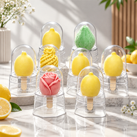 Groothandel Voedselveilige PET Plastic 3D Fruit IJsjesbakjes Op Maat Gemaakt Papieren Verpakkingen Verschillende Vormen en Ontwerpen
