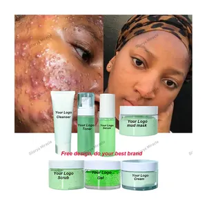 Sans étiquette Enlever les impuretés Pimple Scar Blemish Blackhead Reveal Brighter Healthier Acné Treatment Tea Tree Skin Care Set