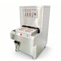 Machine de thermoscellage de blisters en papier Tyvek de taille moyenne pour applications en salle blanche de laboratoire et emballages de haute précision