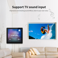 Mini ses amplifikatörü multimedya duvar montaj oynatıcı ev mini bt ses müzik merkezi ses amplifikatörü sistemi