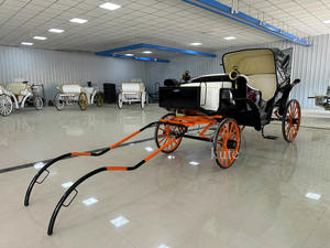 Voiture électrique silencieuse de tourisme, charrette rétro à chevaux pour la visite des paysages urbains - Product Image 5