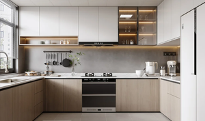Gabinetes de Cocina Modernos de Madera Sólida de Alta Calidad Personalizados, Juego Completo para Diseño de Cocina de Lujo Huipinju - Product Image 6