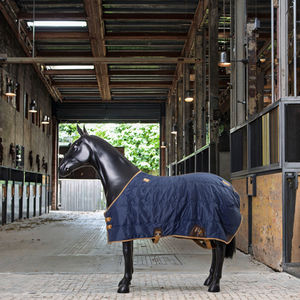 ผ้าห่มม้ากันความร้อน300ก. ใช้ในการขี่ม้าเสื่อให้ความอบอุ่นในฤดูหนาวอุปกรณ์สำหรับนักขี่ม้า420D ออกแบบได้ตามต้องการ - Product Image 1