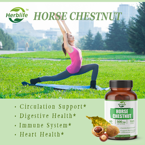 Suplemento de extracto de castaño de indias OEM - Apoya la salud cardiovascular, la salud del corazón y la circulación, Vegano - Product Image 2