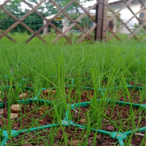 Grille en herbe LeJing en HDPE, épaisseur 50 mm, pour le contrôle paysager des parkings extérieurs, des trottoirs communautaires et la plantation sur toiture - Product Image 4