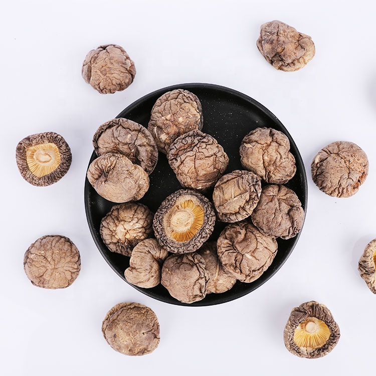 Оптовая продажа, вкусные натуральные коричневые сушеные грибы Shiitake 3-4 см
