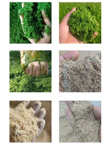 Chicken Poultry <b>Feed</b> Forage Wet and Dry Grinding <b>Machine</b> for Pig Cattle Sheep Fish Farming Poultry <b>Feed</b> <b>Processing</b> <b>Machine</b> - Product Image 5