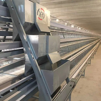 Cage à poules pondeuses de type A, galvanisée à chaud, avec système d'alimentation automatique pour élevage avicole commercial