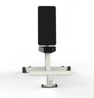 Chaise de musculation fixe professionnelle pour presse d'épaules, banc utilitaire vertical