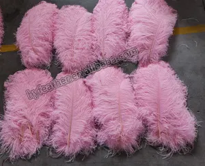 Grosir Cina 22/24 "merah muda penjualan laris bulu burung unta berwarna dekorasi bulu burung unta murah Beli bulu 70cm