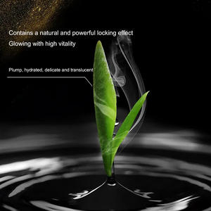 Kit de cuidado facial Limpiador Suero Vitamina E Hidratante <span class=keywords><strong>Amino</strong></span>ácido Control de aceite Conjunto de cuidado de la piel sensible - Product Image 2