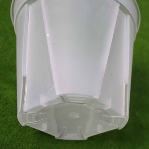 Epipresnum-maceta redonda de plástico grueso para jardín, Rosa 4,7, 5,9, 7 pulgadas, transparente, nueva - Product Image 6