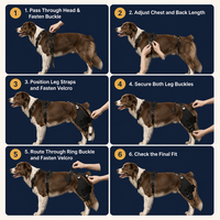 Attelle de genou pour chien FD606 avec stabilisateur à charnière réglable en néoprène et maille de nylon pour l'arthrite canine, les entorses et la récupération postopératoire