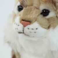 Peluche Ligneau réaliste, jouet en peluche doux et réaliste avec rembourrage en coton PP et doublure en maille, cadeau d'anniversaire pour enfants