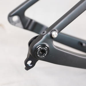 <span class=keywords><strong>Tantan</strong></span> จานเฟรมคาร์บอนเบรคจักรยานกรวดเต็มซ่อนสายส่วนจักรยานคาร์บอนไฟเบอร์ T1000 T47 700 * 50C udh frameset GR208 - Product Image 6