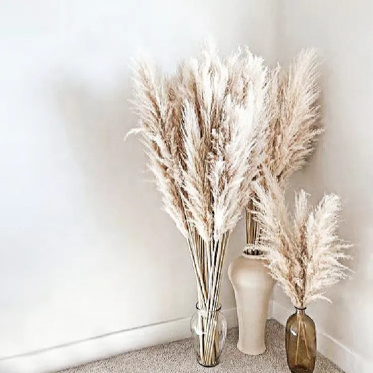 HFlora Hot Sale Dry Pampas Grass High Quality Artificial Dried Flowers And Plants Pampass Grass Bouquet Boho Decor Wholesalers