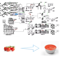 2026 Kleinschalige Capaciteit Tomatenpuree Maken Machine Saus Puree Verwerkingsfabriek Ketchup Productielijn